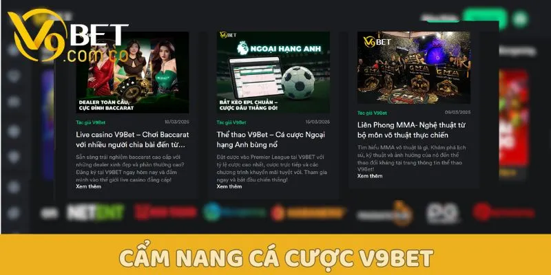 BLOG cá cược V9bet