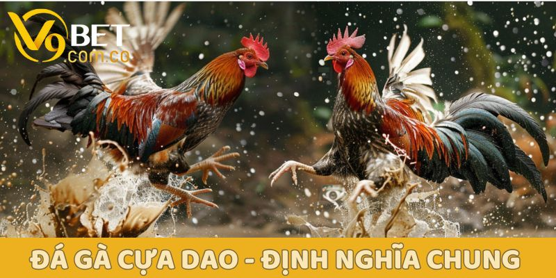 Đá Gà Cựa Dao: Từ luật chơi đến mẹo thắng lớn cùng V9bet 2 Đá Gà Cựa Dao V9bet
