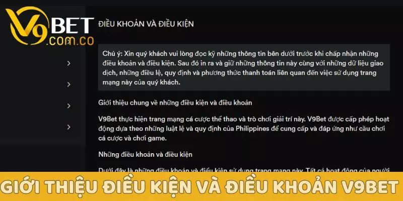 Điều Kiện Và Điều Khoản V9BET – Công Bằng, Rõ Ràng, An Toàn 2 điều kiện và điều khoản V9BET - Sự đại diện của hội viên
