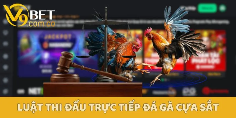 Trực Tiếp Đá Gà Cựa Sắt - Xu Hướng Cá Cược Được Yêu Thích Nhất 4 Trực Tiếp Đá Gà Cựa Sắt V9bet