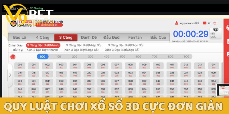 Xổ số 3D: Cẩm nang cho người mới bắt đầu và chuyên gia 3 Xổ số 3D V9bet
